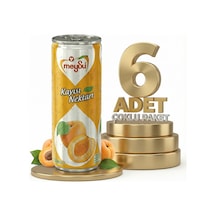 Meysu Kutu Kayısı 6x330 Ml