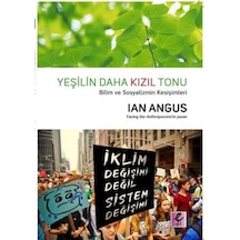 Yeşilin Daha Kızıl Tonu - Lan Angus - Efil Yayınevi Yayınları