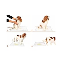 Evcil Hayvan Petzoom Yavru Köpek Çiş Eğitim Pedi 30 Adet