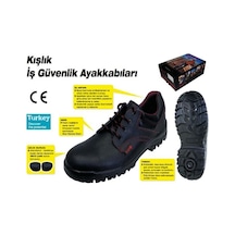 Çok Renkli