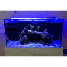 Orionled Akvaryum Led Aydınlatma Mavi 30cm