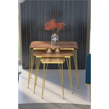 Gold Tel Zigon Ceviz 3'lü Çok Renkli