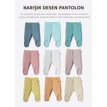 Çok Renkli