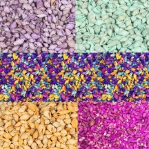 Nassa Karışık Deniz Kabuğu 50 G