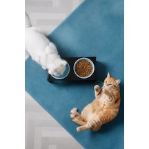 2'li Siyah Pleksi Kedi Ve Köpek Seramik Mama & Su Kabı Paspas Hediye