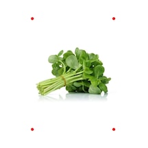 Taze Sezotu Tohumu - 5 Gr - Çoklu Çeşit