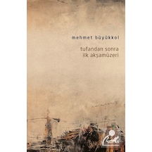 Tufandan Sonra İlk Akşamüzeri - Mehmet Büyükkol - Loras Kitap