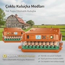 Fx100 Tam Otomatik Kuluçka Makinesi 100 Yumurta Kapasiteli Yeni Nesil Havalandırma Otomatik Motorlu Su Alma Sistemi Dijital Isı Ve Nem Kontrolü Lisinya