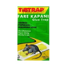 Tibtrap Yapışkanlı Fare Zehiri