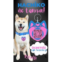 Petjoo 19.Hachiko Pembe-Mavi Qr'lı Köpek Künyesi