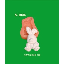 Havuçlu Tavşan No:2 Silikon Kalıp S1026