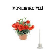 Öğretmenler Günü Hediyesi Kırmızı Karanfil Çiçeği Mumluk Hediyeli