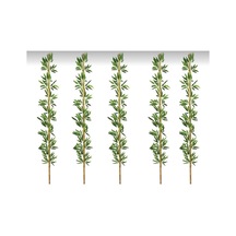 Rüzgar Yapay Çiçekçilik 190 Cm 5 Adet Bambu Yeşil
