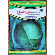 Goldgen Pro Seed Lahana Tohumu