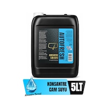 Araç Konsantre Cam Suyu 5 Lt Sünger