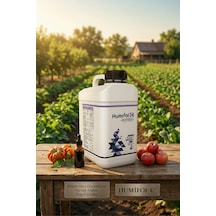 5 L