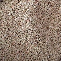 Mısır Koçan Granülü Kuş Kafes Altlığı 5 Kg