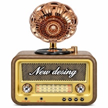 Dosound Ds-2527b Retro Radyo Bluetooth Usb Sd Kart Aux Fm Am Sw Taşınabilir Müzik Çalar