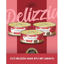 Reflex Plus Delizzia Yetişkin Dana Etli Gravy Kedi Maması 3x85 Gram