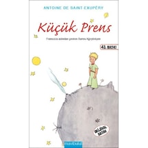 Küçük Prens - Aıaı-883160