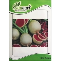 Çin Turpu Tohumu 2 Gr. - 4 Saksı+torf Hediye