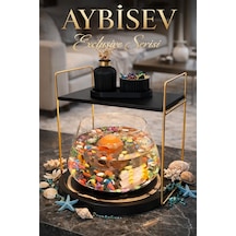 Reyo Ok-ay Store Düz Raflı Işıklı Lüks Cam Fanus İçinde Beta Balığı İçin Özel Tasarım Masa Üstü Dekoratif Akvaryum Gold-siyah