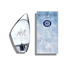 Nikos Sculpture Homme Erkek Parfüm EDT 100 ML
