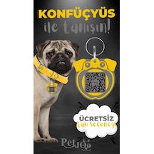 Petjoo 9.Konfüçyüs Gri-Sarı Qr'lı Köpek Künyesi