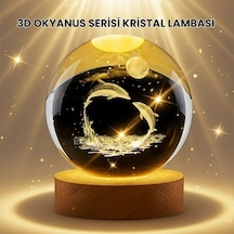 Hubrendy Tekno Lazer İşlemeli Yunus Kristal Küre Sıcak Işıklı Ahşap Standlı