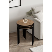 Siyah - Atlantik Çam