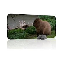 Capybara Kaymaz Dikişli Kauçuk Oyuncu Mousepad V5 - 70x30 Xl Gaming Mouse Pad Fare Altlığı