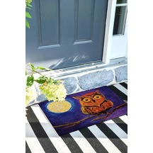Tr Baykuş Kapı Önü Paspası Dekoratif Kapı Paspası Dış Mekân Paspas Ev İçi Paspası 45x70cm Diğer