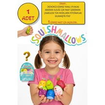 Squishmallows Squooshems 1 Adet - 6.5 Cm Sürpriz Yumuşacık Koleksiyon Oyuncağı Seri 12 Çok Renkli