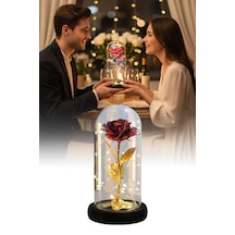 Metalik Kadife Sonsuzluk Gülü Işıklı Şeffaf Kutulu Dekoratif Gül Aranjmanı Hediye Kutusu İçerisinde Romantik Ve Şık Görünümlü Ömürlük Yapay Gül Aksesuarı Sevgililer Günü Ve Özel Günler İçin Diğer