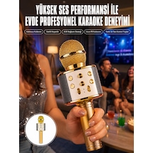 Karaoke Mikrofon Dahili Hoparlörlü Sd-usb-aux Girişli Bluetooth Hoparlör - Lisinya
