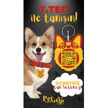 Petjoo 15.T.Teg Sarı-Kırmızı Qr'lı Köpek Künyesi