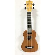 Cremonıa Au006L-21