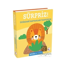 Sürpriz Doğadaki Hayvanları Tanıyorum