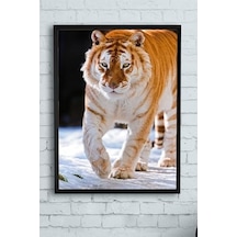 Pster11500 Kaplan Hayvan Çerçeveli Tablo 50x70cm 7/8 Yaş