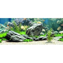 Kanki Pet Kp1556534 Akvaryum Arka Fon Yapıştırma 155 X 65 Cm