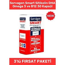 Sorvagen Smart Sitikolin Dha Omega 3 Ve B12 30 Kapsül 8680057351687