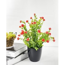 Yapay Çiçek Siyah Saksıda Kırmızı Mineli Şimşir Büyük Boy 33X25 C