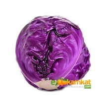 Mor Lahana Kara Tohumu 25 GR Paket