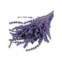 Kurutulmuş Lavanta Demeti 40-50 Cm 3 Adet 200-300 Dal Diğer