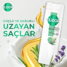 Şampuan Biberiye Dökülme Karşıtı 400 Ml