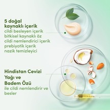 Acai Üzümü
