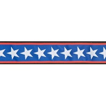Planetwaves 50Pla10