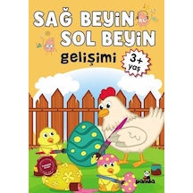 3 Yaş Sağ Beyin - Sol Beyin Gelişimi- Panda
