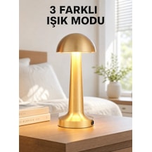 Şarjlı Dimmerli Led Masa Lambası 4-8 Saat Aydınlatma Yeni Nesil Çok Renkli