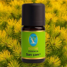 Sarı Çam Organik %100 Saf Uçucu Yağ 10ml